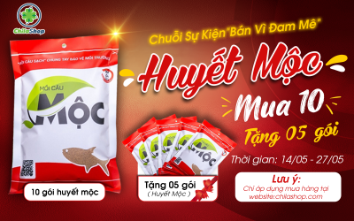 HÈ GÕ CỬA –TẶNG THÊM MỘT NỬA