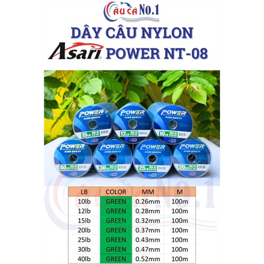 DÂY CÂU ASARI POWER - LỐC 10 CUỘN - 10LB