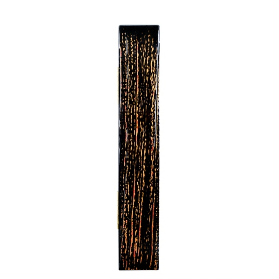 HỘP PHAO GỖ PRO FISHING - 65CM - HẮC LONG